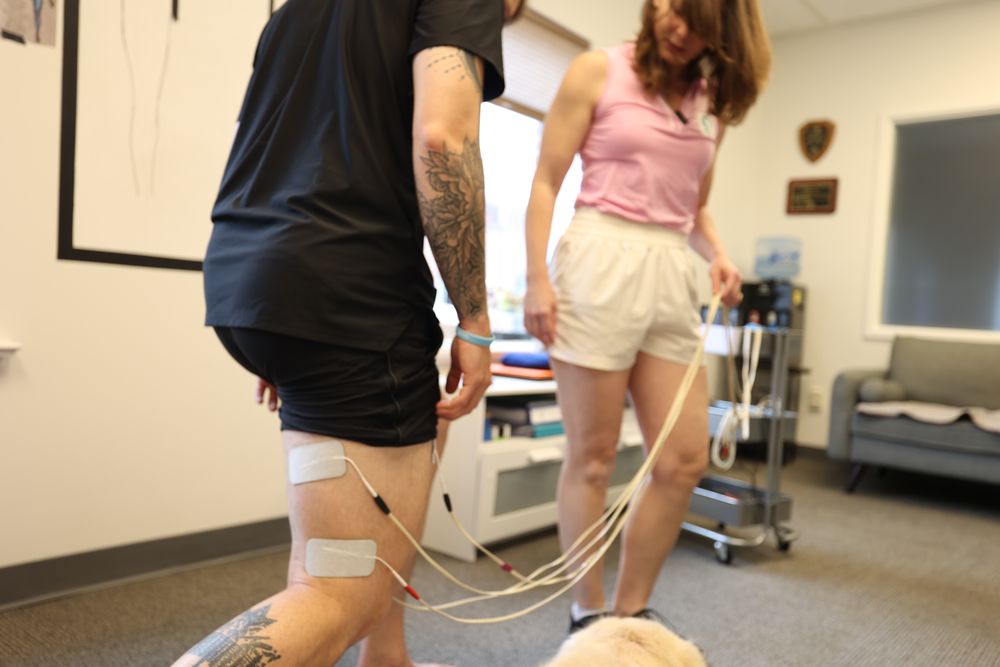 Impact Your Fitness Logo