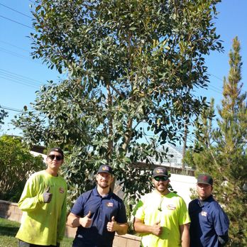 Moon Valley Nurseries - Tree Services Near Me - Chino, California Moon Valley Nurseries - Tree Services Near Me - Chino, California