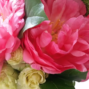 The Little Fleur Co - Yep. They are real! So beautiful. - Florists Near Me - Imperial Beach, California The Little Fleur Co - Yep. They are real! So beautiful. - Florists Near Me - Imperial Beach, California