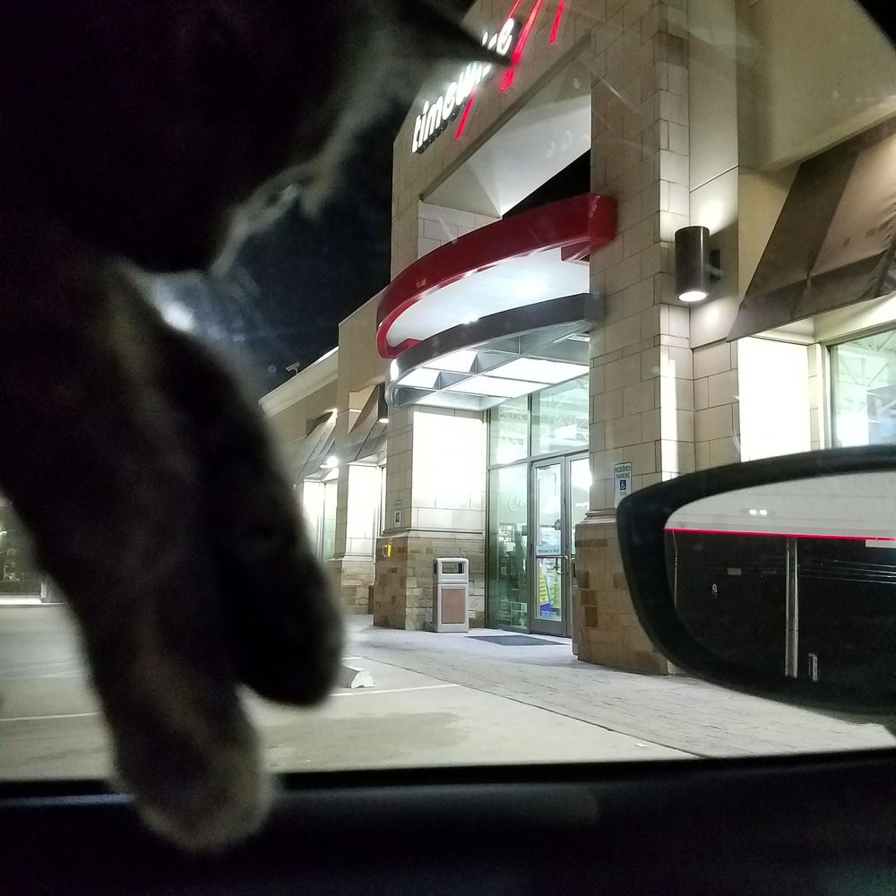 Timewise - It's not wise to bring your kitten here - Convenience Stores Near Me - Spring, Texas Timewise - It's not wise to bring your kitten here - Convenience Stores Near Me - Spring, Texas