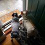 Photo of Leia's Dog Walking & Pet Care