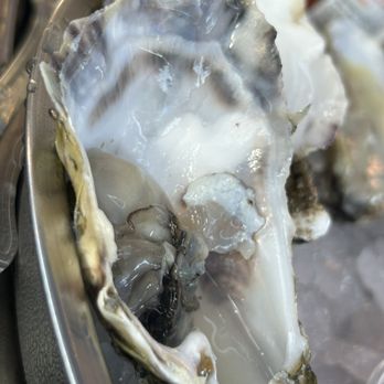 Seasurf Fish - Seafood Near Me - San Clemente, California Seasurf Fish - Seafood Near Me - San Clemente, California