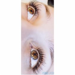 Prime Lash - "Primed" Set (1.5 hours)