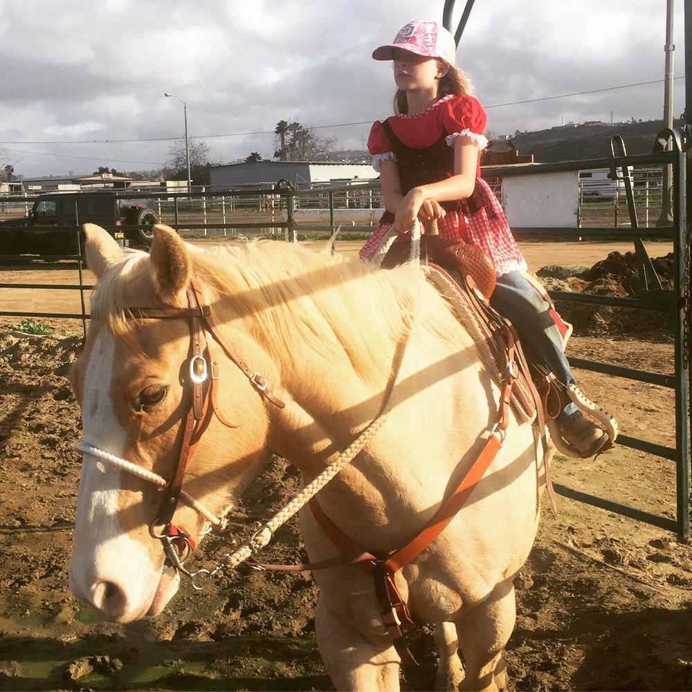 Driftwood Ranch - equestrian in San Diego, CA