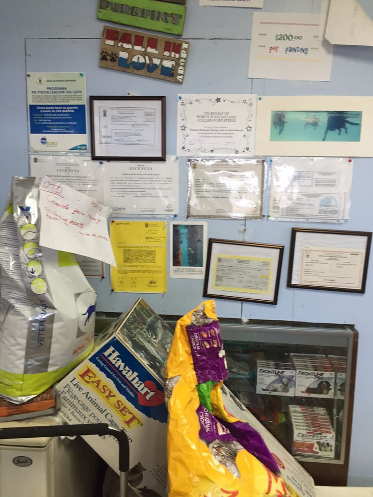 Vieques Humane Society Image