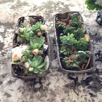 BLOOMS design house - Florists Near Me - Oceanside, California BLOOMS design house - Florists Near Me - Oceanside, California