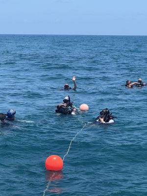 Captain's Corner Dive Center by null