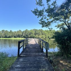 Cabin Lake County Park - Bridge