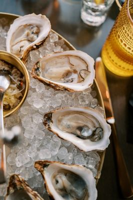 Skipjack Oyster by null