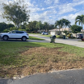 Vasquez Tree Service - Gone! - Tree Services Near Me - West Palm Beach, Florida Vasquez Tree Service - Gone! - Tree Services Near Me - West Palm Beach, Florida