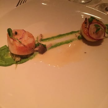 Gary Danko - Scallops - New American Near Me - San Francisco, California Gary Danko - Scallops - New American Near Me - San Francisco, California