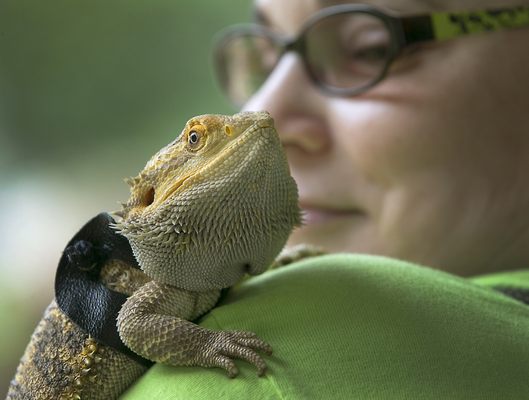 Congregation Shir Ami