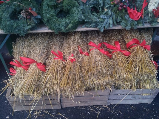 Gutta på Haugen by null