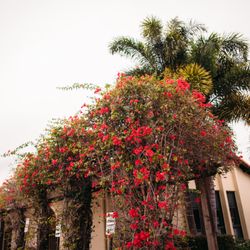 St. Mary's Events & Weddings