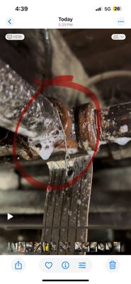 Most valuable Plumber