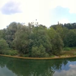 Camba Bavaria