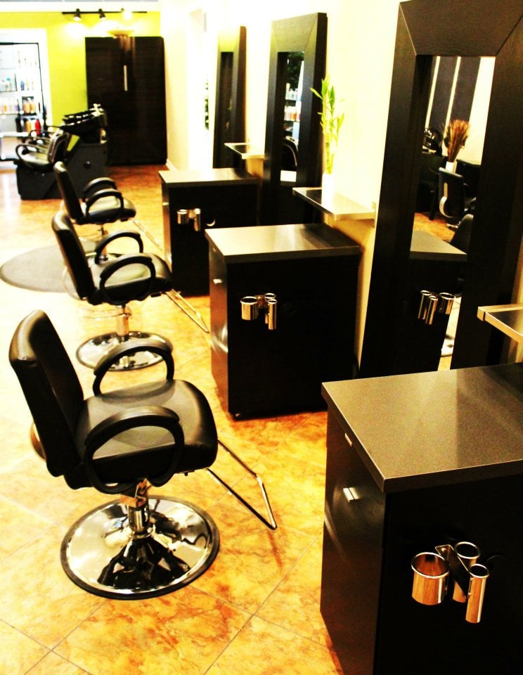 Fringe Salon Logo