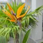 Photo of CoryC.Clark Landscapes