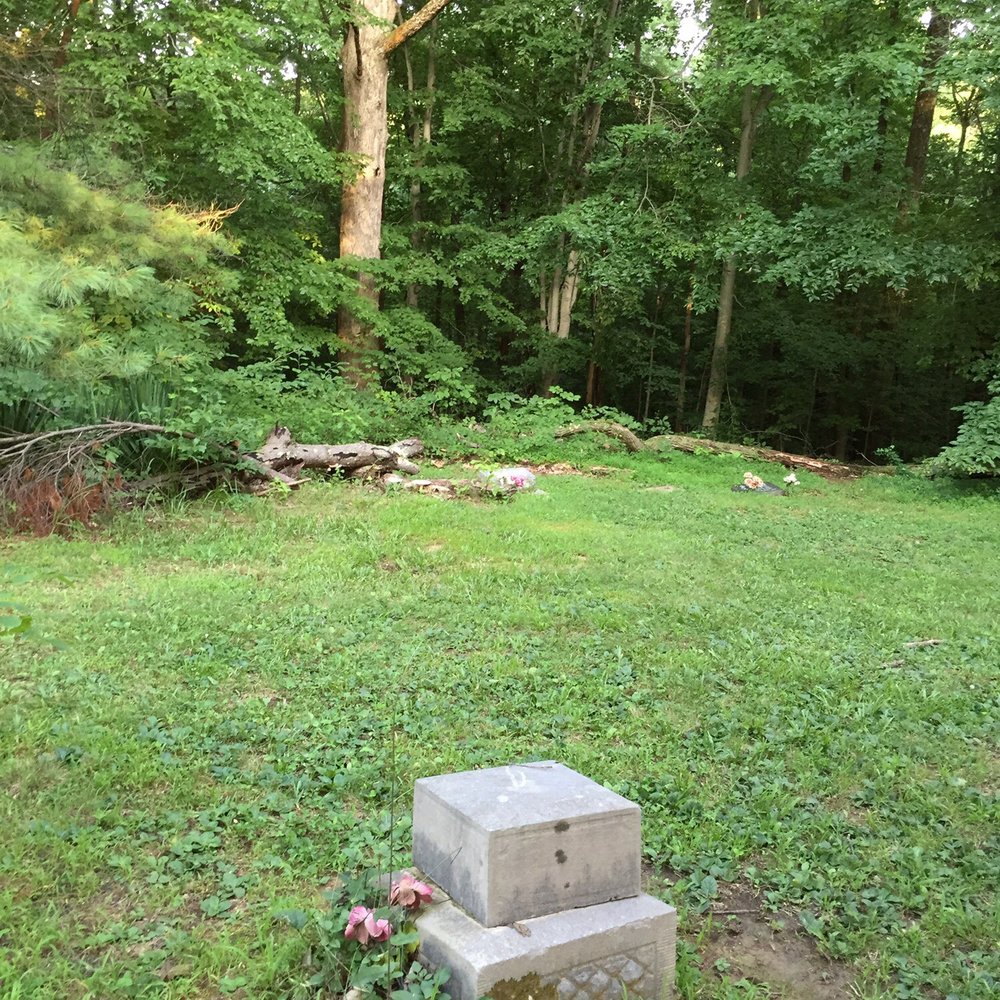 Morgan-Monroe State Forest - Hiking Near Me - Martinsville, Indiana