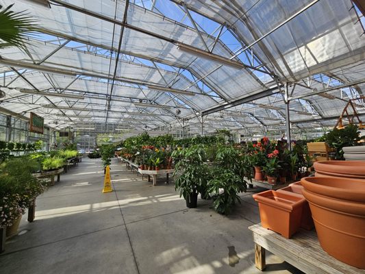Briggs Nursery by null