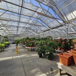 Briggs Nursery - Outside
