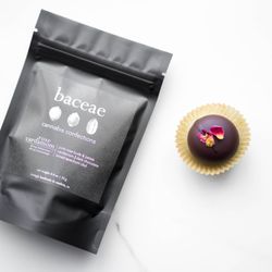 Plantae + Fungi - We're excited to share the latest baceae cbd chocolate confections! Which chocolate to try first?