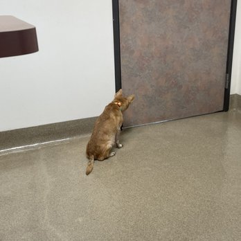 Pasternak Veterinary Center - Veterinarians Near Me - Los Angeles, California