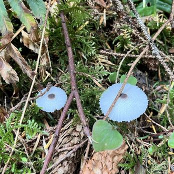 CAPE PERPETUA SCENIC AREA - Updated January 2025 - 271 Photos & 52