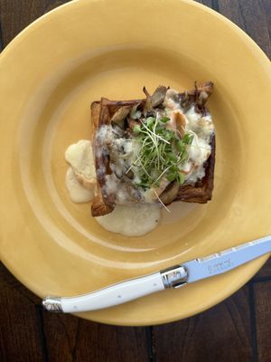 Alloro Vineyard by null