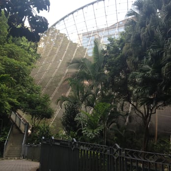 香港公園 - Aviary containing hundreds of birds - Parks Near Me - Hong Kong, HK 香港公園 - Aviary containing hundreds of birds - Parks Near Me - Hong Kong, HK