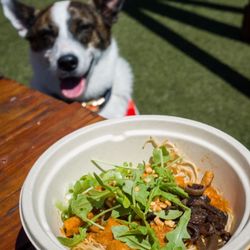 Spark Social SF - Momo noodle