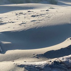 Bullards Beach State Park - Cool sand drifts and great driftwood