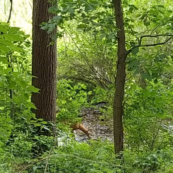 Asylum Lake Preserve - Parks Near Me - Kalamazoo, Michigan Asylum Lake Preserve - Parks Near Me - Kalamazoo, Michigan