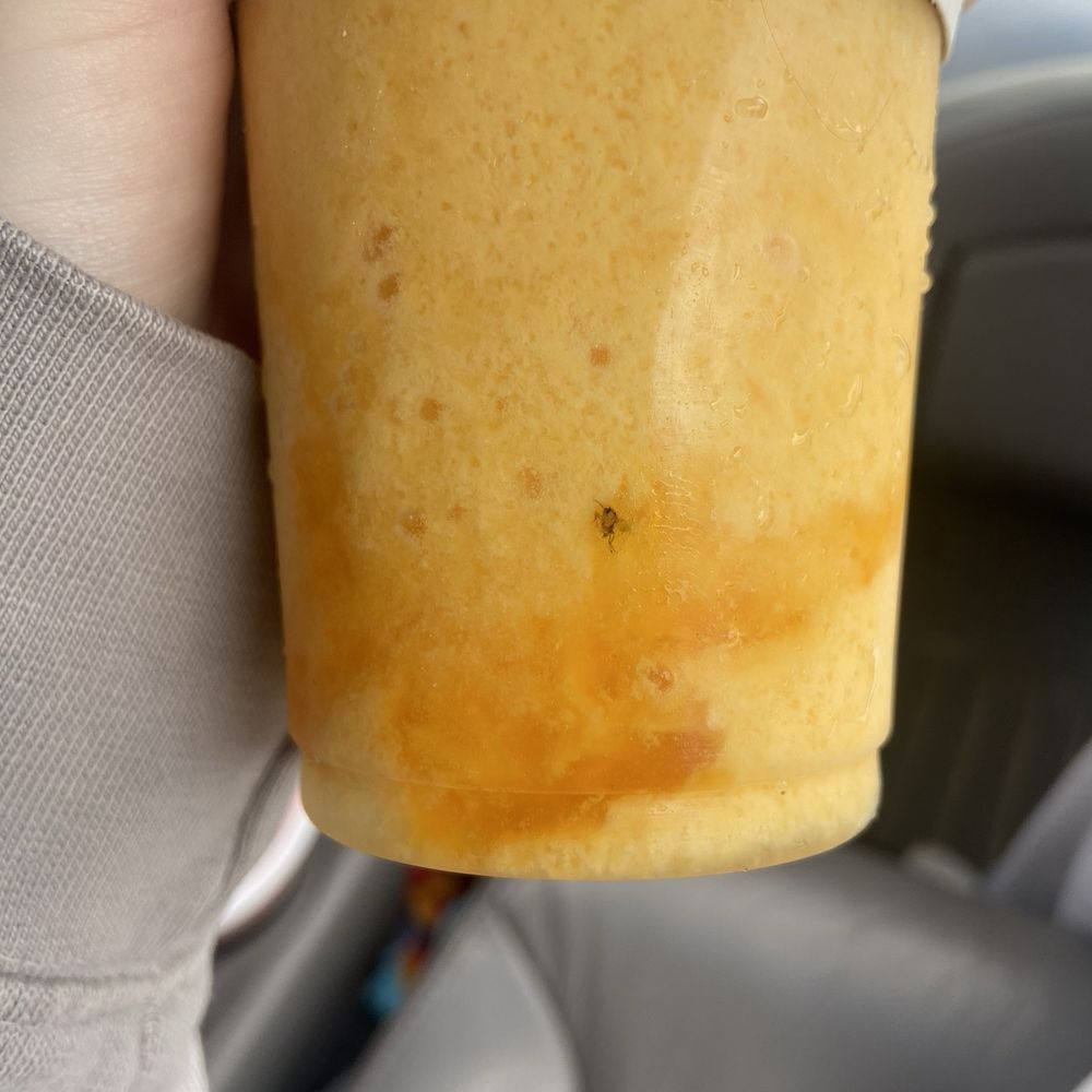 Bug inside of my smoothie.