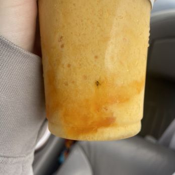 Bubble Tea Lab - Bug inside of my smoothie. - Bubble Tea Near Me - Libertyville, Illinois