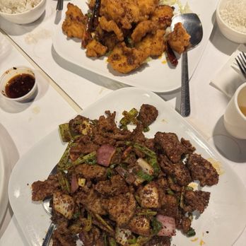 Cheng Du 23 - Spicy Cumin Lamb and  spicy fried fish filet - Seafood Near Me - Wayne, New Jersey