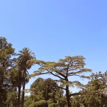 Parque 3 de Febrero - Parks Near Me - Buenos Aires, C Parque 3 de Febrero - Parks Near Me - Buenos Aires, C