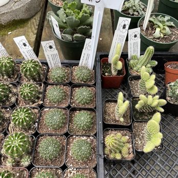 Encinal Nursery - Nurseries & Gardening Near Me - Alameda, California