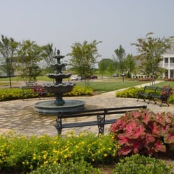 Skyline Design and Landscape