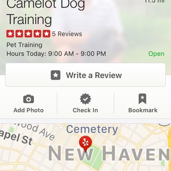 Camelot Dog Training - We serve all of Connecticut! - Pet Training Near Me Camelot Dog Training - We serve all of Connecticut! - Pet Training Near Me