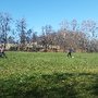 Photo of Barnard Park