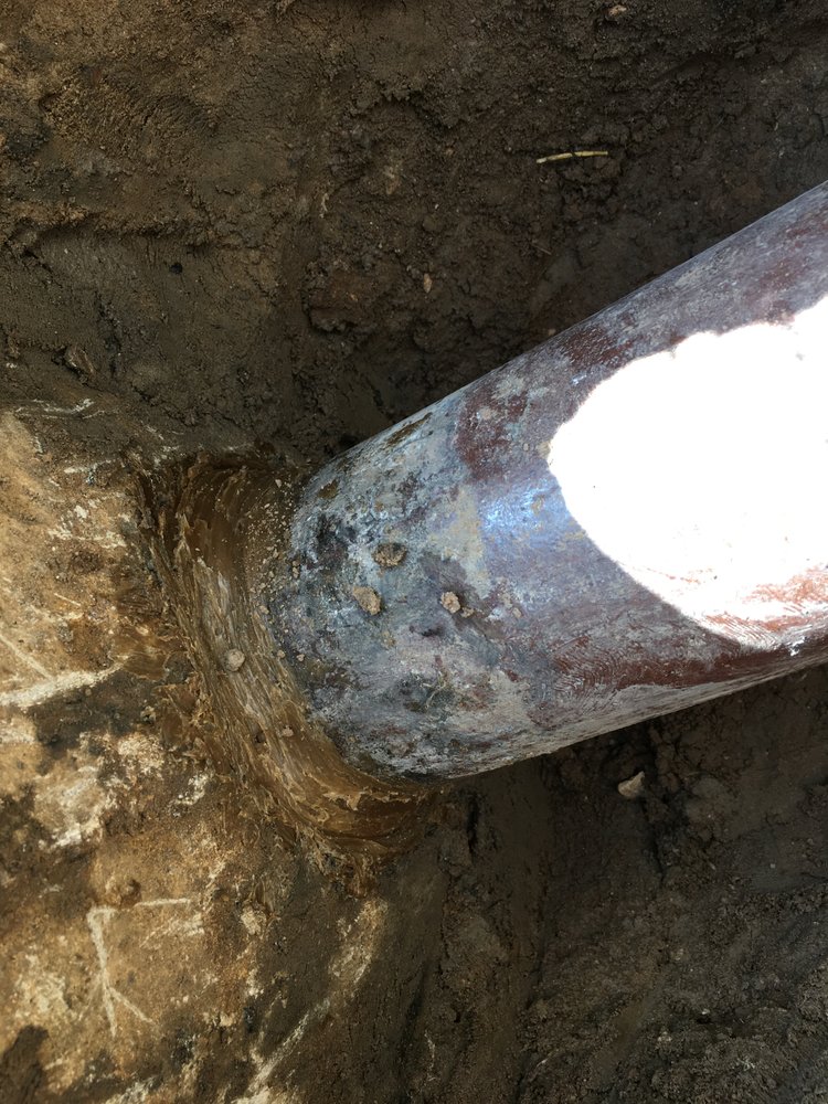 Slide of The Drain Check