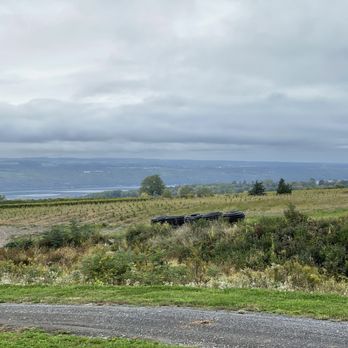 Forge Cellars - View from outside - Wine Tasting Room Near Me - Burdett, New York