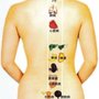 Wilmette Healing Spa