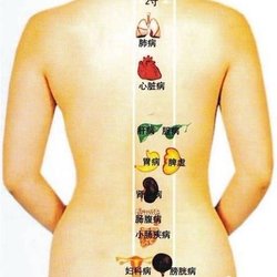 Wilmette Healing Spa