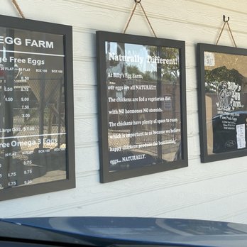 Billy's Egg Farm - Specialty Food Near Me - Chino, California Billy's Egg Farm - Specialty Food Near Me - Chino, California