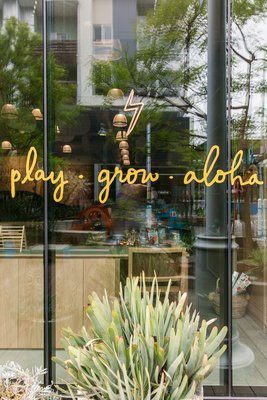 Wild Child Gym by null