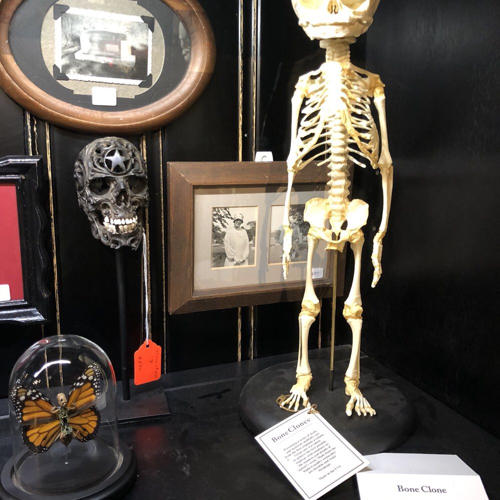 The Dark Art Emporium - Skeleton of a fetus. Woah - Art Galleries Near Me - Long Beach, California The Dark Art Emporium - Skeleton of a fetus. Woah - Art Galleries Near Me - Long Beach, California