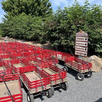 Brecknock Orchard - Fruits & Veggies Near Me - Mohnton, Pennsylvania