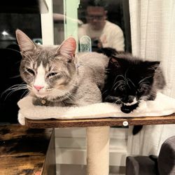 Shimpino and Santiago